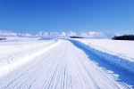 Snow Covered Road