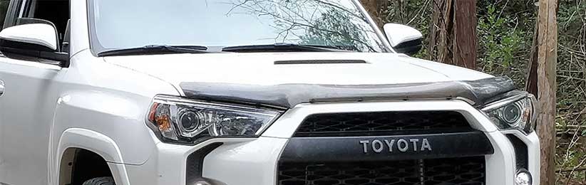 Vehicle sales bug deflector