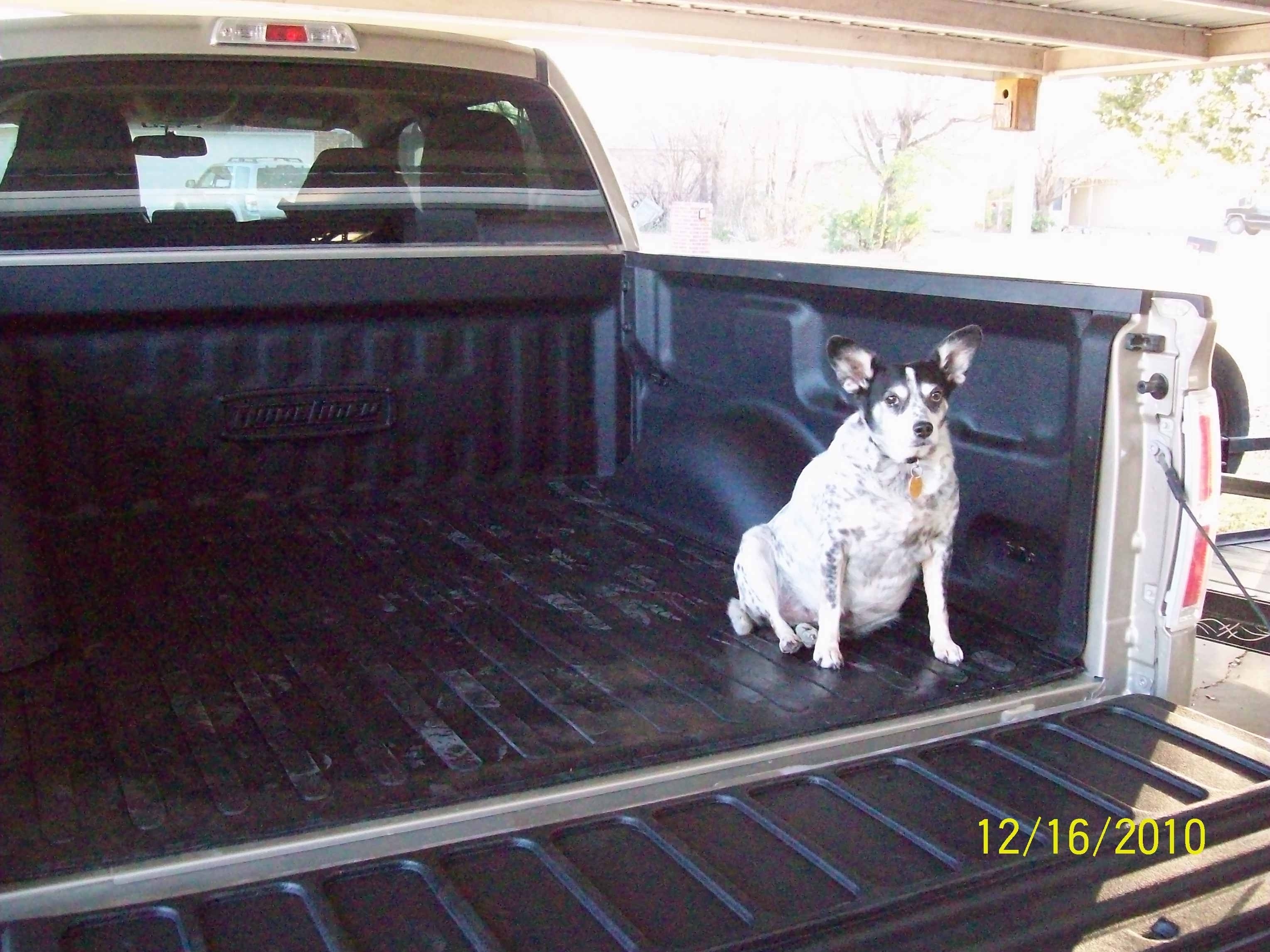 Dual liner ford f150 #3